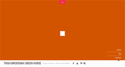 Desktop Screenshot of patriciabroersma.com